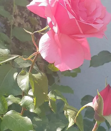 Apartmán Warnemuede *